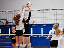 Hallen-Volleyball