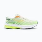 Straßenschuhe fürs Laufen Mizuno