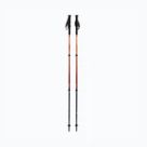Nordic Walking