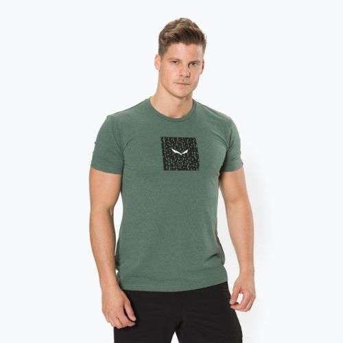Salewa Pure Box Dry Herren-Trekkinghemd grün 00-0000028378
