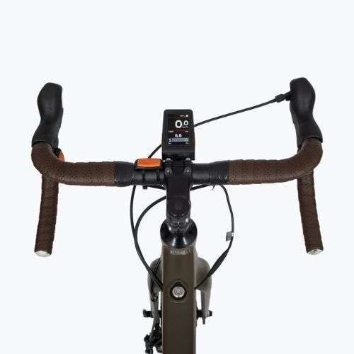 EcoBike Forest/9.7Ah grünes Elektrofahrrad 1010502