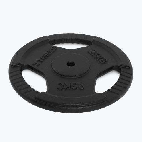 XTREXO Gusseisen Gewicht TRX-ICP025 25 kg Chrom