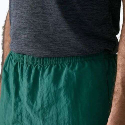 Herrenshorts Patagonia Baggies 5" 95 oval logo/gem green