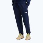 Herren-Trekkinghose The North Face Simple Dome Light Regular Tapered Jogger summit navy