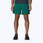 Herrenshorts Patagonia Baggies 5" 95 oval logo/gem green