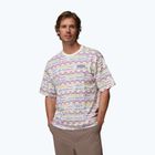 Herren T-Shirt Columbia CSC Heavyweight Printed Tee sea salt/horizons