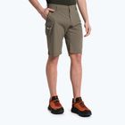 Salewa Herren Wandershorts Talveno DST braun 00-0000027064