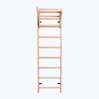 BenchK Bronze-Gymnastikleiter BK-111
