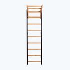 BenchK Gymnastikleiter schwarz BK-711B