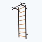 BenchK Gymnastikleiter schwarz BK-221B