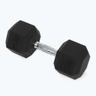 Kurzhanteln XTREXO Hex HXD200 20 kg