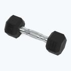 Kurzhanteln XTREXO Hex HXD25 2.5 kg