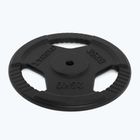XTREXO Gusseisen Gewicht TRX-ICP025 25 kg Chrom