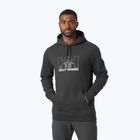 Herren-Trekking-Sweatshirt Helly Hansen Nord Graphic Pull Over 981 grau 62975