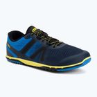 Barfußschuhe Herren Xero Shoes HFS II blue/aster
