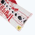 Boxhandschuhe Everlast Fight Leather red 6