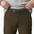 Columbia Silver Ridge II converti 319 grün 1794891 Herren-Trekkinghose 6