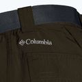 Columbia Silver Ridge II converti 319 grün 1794891 Herren-Trekkinghose 11