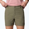 Trekking Shorts Damen Columbia Leslie Falls Short II stone green 5