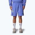 The North Face Mountain Cleanup Entspannt virtuelle blaue Shorts