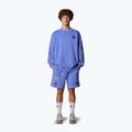 The North Face Mountain Cleanup Entspannt virtuelle blaue Shorts 2
