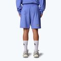 The North Face Mountain Cleanup Entspannt virtuelle blaue Shorts 3