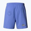 The North Face Mountain Cleanup Entspannt virtuelle blaue Shorts 5