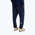 Herren-Trekkinghose The North Face Simple Dome Light Regular Tapered Jogger summit navy 3