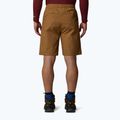 Shorts Herren The North Face Limestone utility brown 3