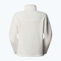 Hoodie Sweatshirt Damen The North Face Glacier Fleece 1/2 Zip Short white dune 5