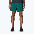Herrenshorts Patagonia Baggies 5" 95 oval logo/gem green
