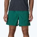 Herrenshorts Patagonia Baggies 5" 95 oval logo/gem green 4