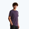 Herren-Shirt The North Face Evolution Box NSE endless dusk