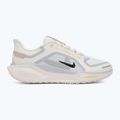 Herren-Laufschuhe Nike Pegasus 41 GTX sail/football grey/sundial/ashen slate 2