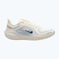 Herren-Laufschuhe Nike Pegasus 41 GTX sail/football grey/sundial/ashen slate 8