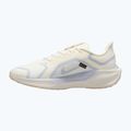 Herren-Laufschuhe Nike Pegasus 41 GTX sail/football grey/sundial/ashen slate 9