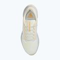 Herren-Laufschuhe Nike Pegasus 41 GTX sail/football grey/sundial/ashen slate 10