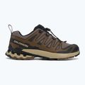 Herren Laufschuhe Salomon XA Pro 3D V9 falcon/desert tan/schwarz 2
