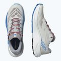 Herren-Laufschuhe Salomon Pulsar lunar rock/weiß/französisch blau 8
