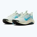 Herren-Laufschuhe Nike Wildhorse 10 sea glass/black spruce/baltic blue 10
