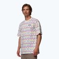 Herren T-Shirt Columbia CSC Heavyweight Printed Tee sea salt/horizons 4