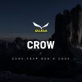 Salewa Herren Hochgebirgsstiefel Crow GTX braun 00-0000061328 12