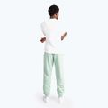 Herren Venum Vortex XL Jogger grün 3