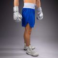 Trainingsshorts Herren Venum Classic Boxing royal blue 5