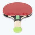 Tischtennisschläger Butterfly Tiago Apolonia TAX3 2