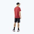 Herren-Trekking-Shorts DYNAFIT Transalper Light Dynastretch black out/0730 3