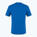 Herren-Trekking-T-Shirt Salewa Alpine Hemp Logo blau 00-0000028132 5