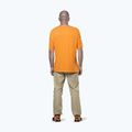 Salewa Agner Hanf/Dst Kurkuma Herren-Trekkinghemd 3