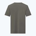 Herren Salewa Eagle Nature verblichenes grünes T-Shirt 2