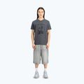 Alpha Industries Herren-T-Shirt Hawaii Vintage grau 2